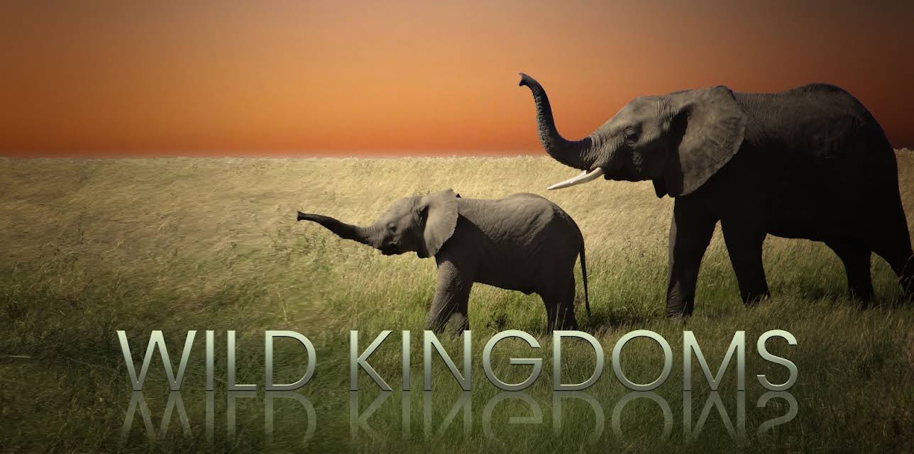 Wild Kingdoms