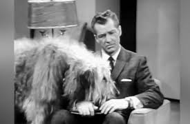 Date with the Angels: The Surprise