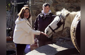 My Greek Table with Diane Kochilas: Olive Oil for Everything