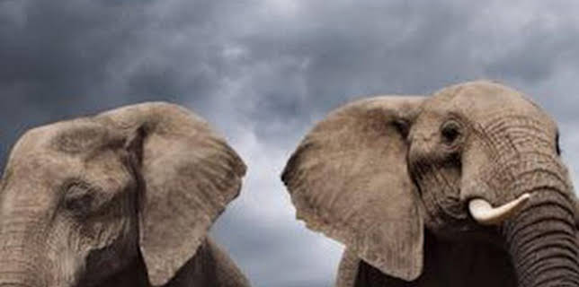 16:35: Life Story: Independencia | La Otra | 2/2 2026