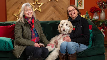 7:45 PM: The Dog House at Christmas | Channel 4 | 12/26 2025
