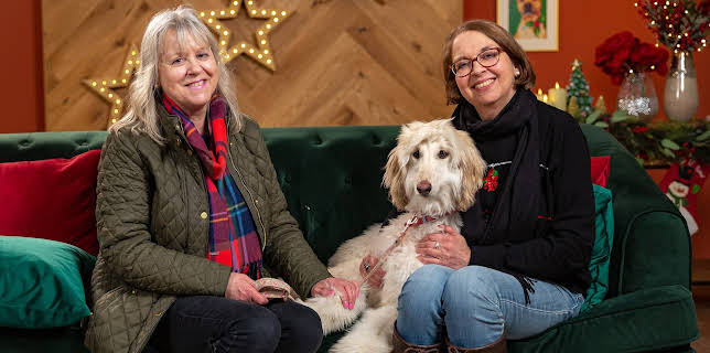 6:55 PM: The Dog House at Christmas | More 4 | 12/25 2025