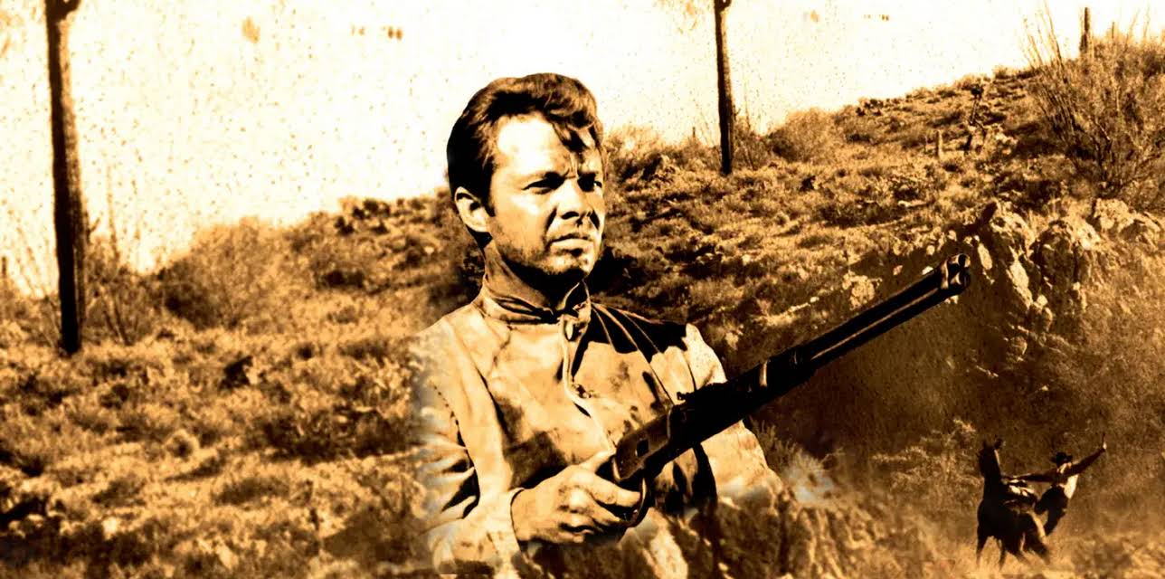 Arizona Raiders (1965)