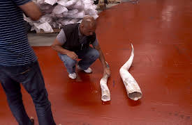 Border Control: Spain: Episode 13