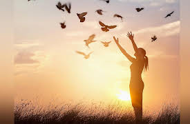 Mind-Body Philosophy: History of the Soul