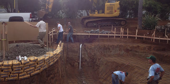 19:00: The Pool Master (S1 E10) (S1) | Animal Planet | 2/13 2026