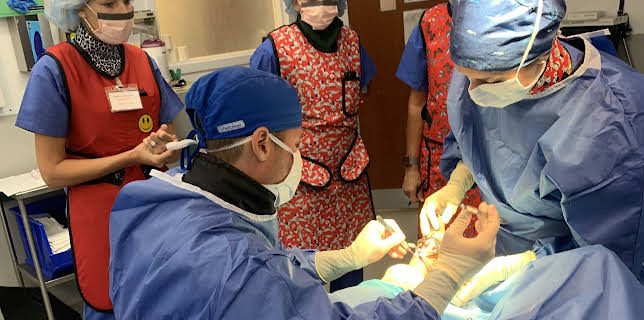 23:20: My Feet Are Killing Me (S2 E1) (S2) | TLC | 3/3 2026