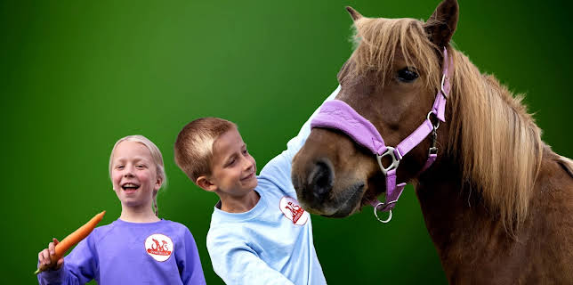 15:20: Dyredilla: Cowboysjefen | NRK Super | 11/16 2025