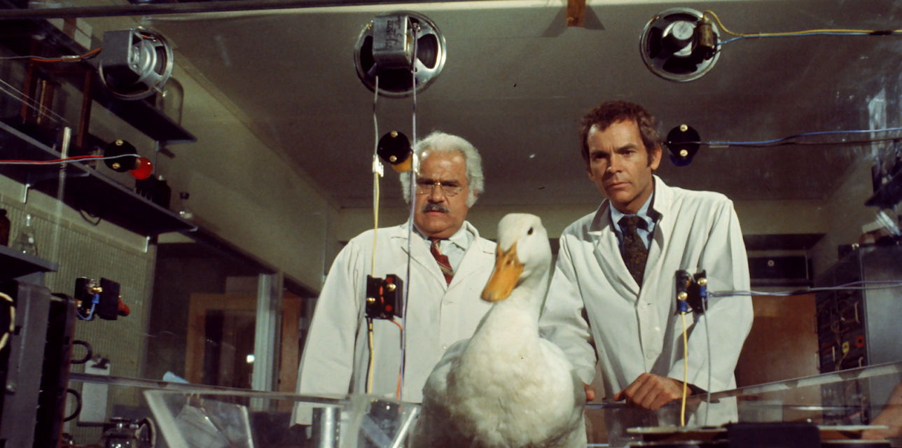 The Million Dollar Duck (1971)