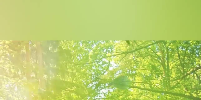 Un camino hacia el destino