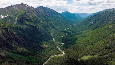 13:50: Die Hüter des Waldes | Arte | 3/28 2026