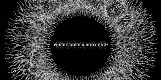 Where Does a Body End? (2019)