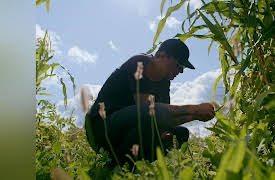 Chuck and the First Peoples' Kitchen: Six Nations, Ontario