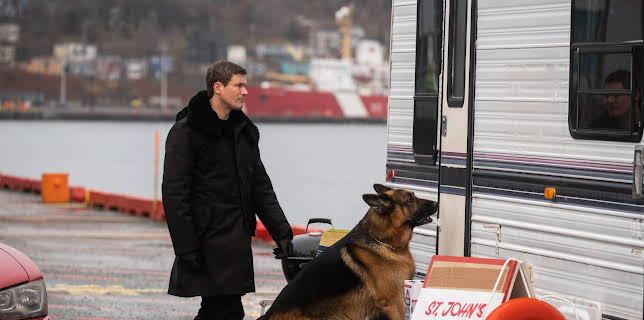 13:00: Hudson & Rex | TV 2 Livsstil | 11/8 2025