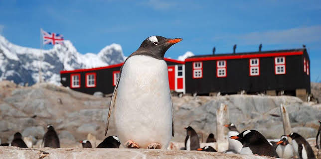 10:25 PM: Natural World | BBC Two | 1/15 2026