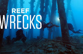 Reef Wrecks: Roatan