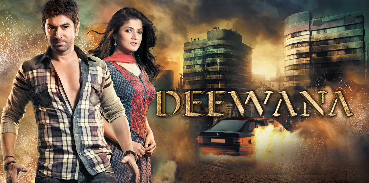 Deewana (2013)