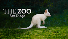 The Zoo: San Diego (S2 E2)