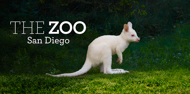 4:00 PM: The Zoo: San Diego (S2 E9) (S2) | Animal Planet | 11/29 2025