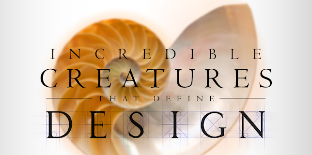 Incredible Creatures That Define Design (2017)
