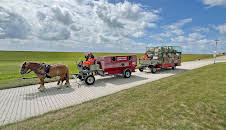 die nordstory Spezial - Kurs Juist und Norderney