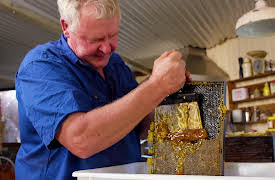 Basics of Beekeeping: The Bush Bee Man: Harvest Time! Enjoying Your First Batch of Honey