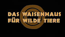 Das Waisenhaus für wilde Tiere (28/127)