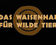 Das Waisenhaus für wilde Tiere