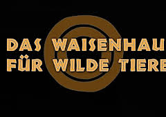 Das Waisenhaus für wilde Tiere