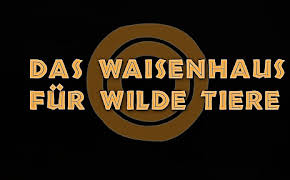 Das Waisenhaus für wilde Tiere