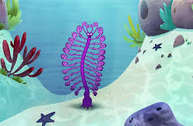 I'm a Fish: I'm a Sea Pen Fish