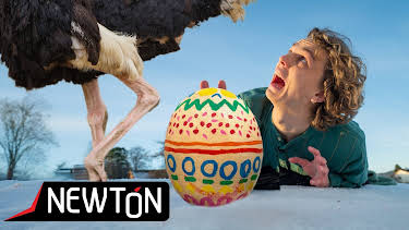 19:05: Newton 2026: Hvem la egget? | NRK Super | 4/12 2026