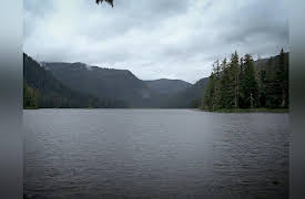 Port Protection Season 1: Predator Prevention