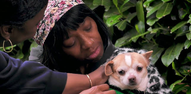 16:25: Hundehuset: Frankie | NRK 2 | 3/23 2026