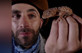 Coyote Peterson: Brave the Wild Season 1: Night of the Geckos
