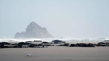 13:10: Stadt Land Kunst | Arte | 4/1 2026