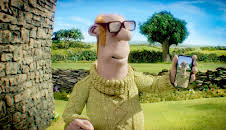 Sauen Shaun: Ding-dong drama