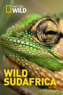 19:50: Wild Sudáfrica: Asesinos del Kalahari | Nat Geo Wild | 3/6 2026