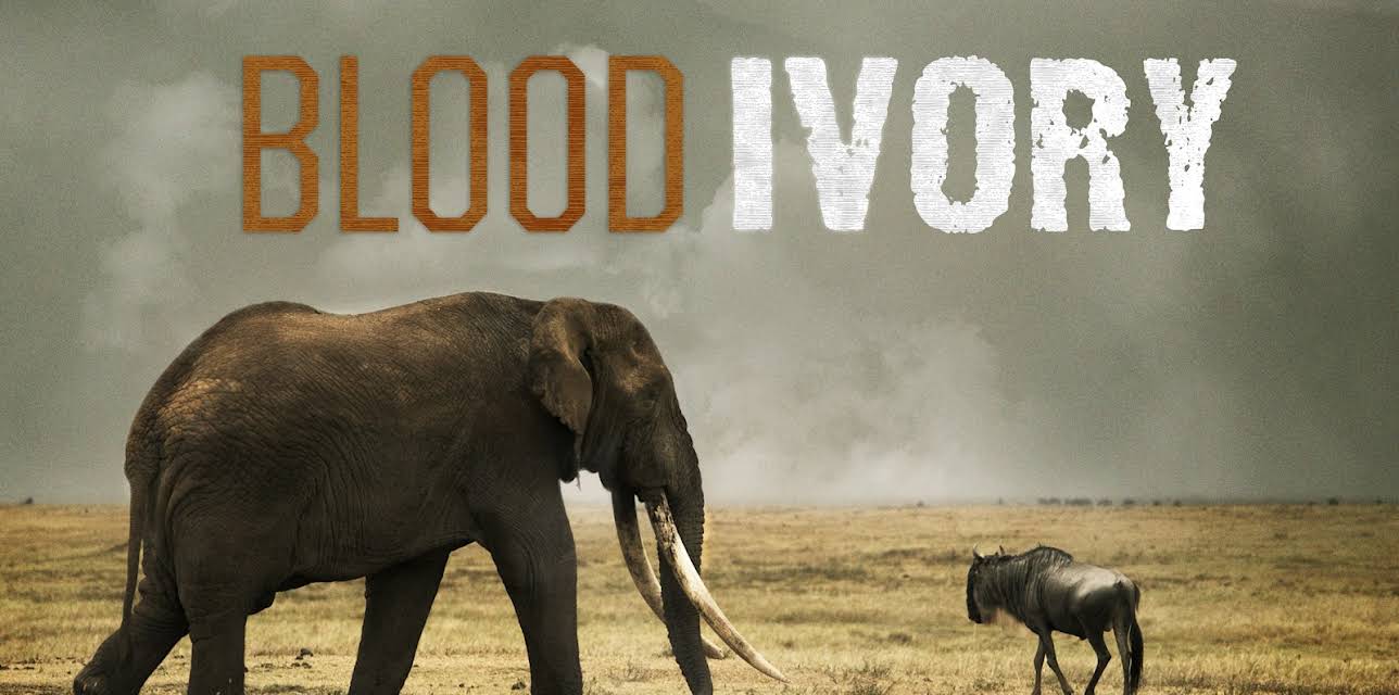Blood Ivory Season 1