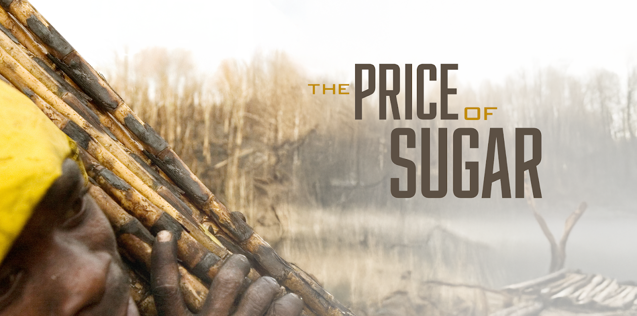 The Price of Sugar (2007)