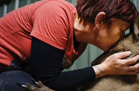 The Bond, Season 1: Married to the Mob