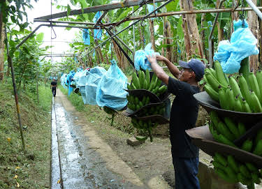 13:20: Costa Rica | 3SAT | 4/20 2026