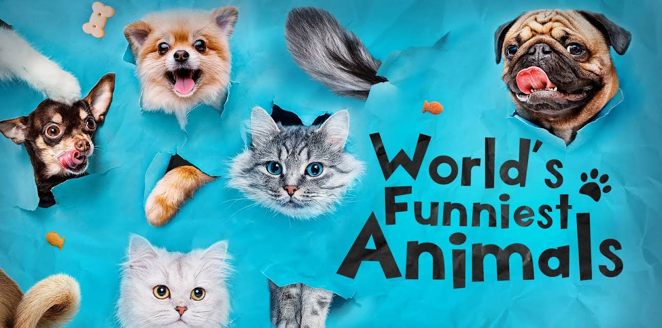 World's Funniest Animals