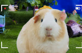 Mittens and Pants: The Tortoise and the Mittens