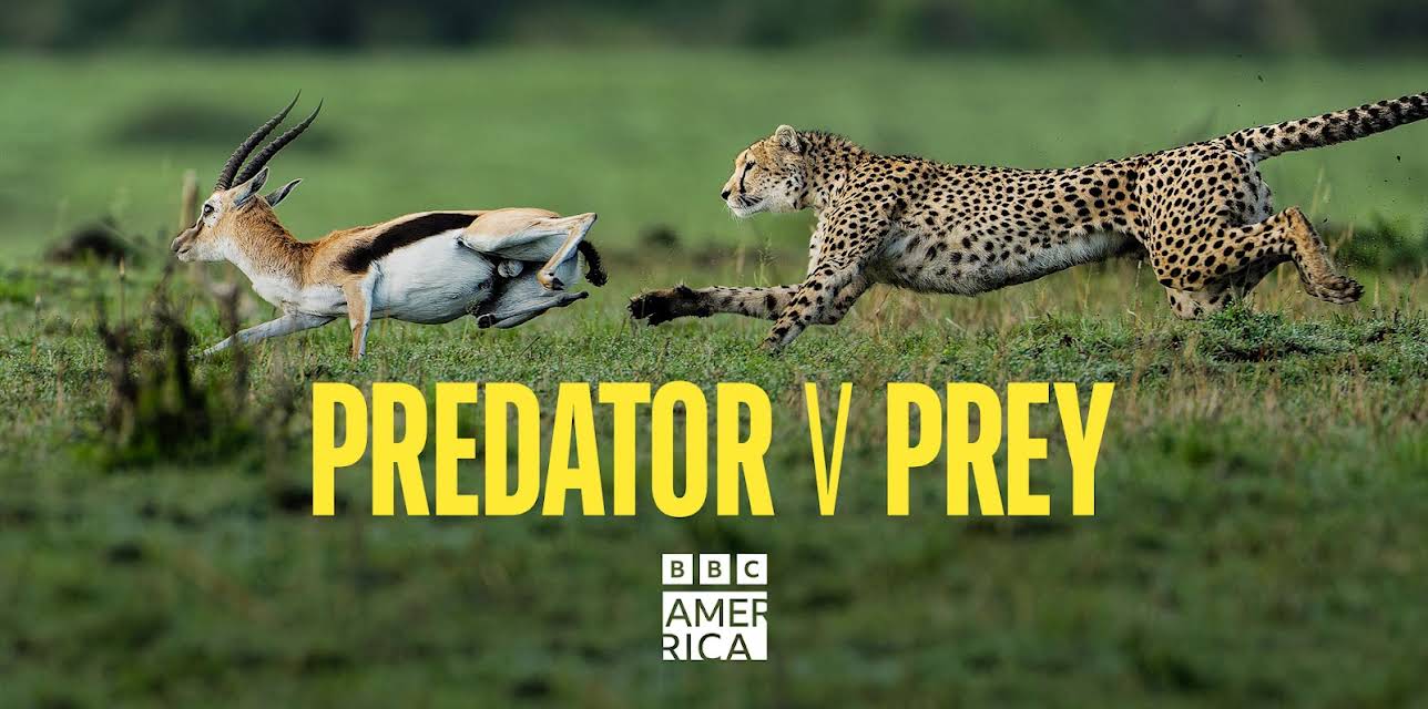Predator v Prey, Season 1