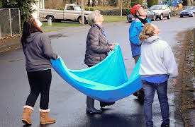 Treetop Cat Rescue: Episode 1