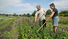 Die Nordreportage: Solidarische Landwirtschaft