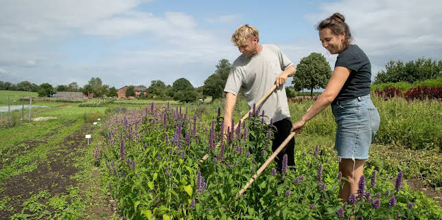 18:15: Die Nordreportage: Solidarische Landwirtschaft | Radio Bremen | 11/25 2025