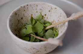 From Scratch: Finland