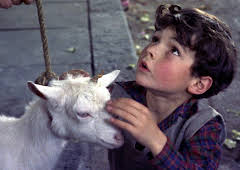 A Kid for Two Farthings